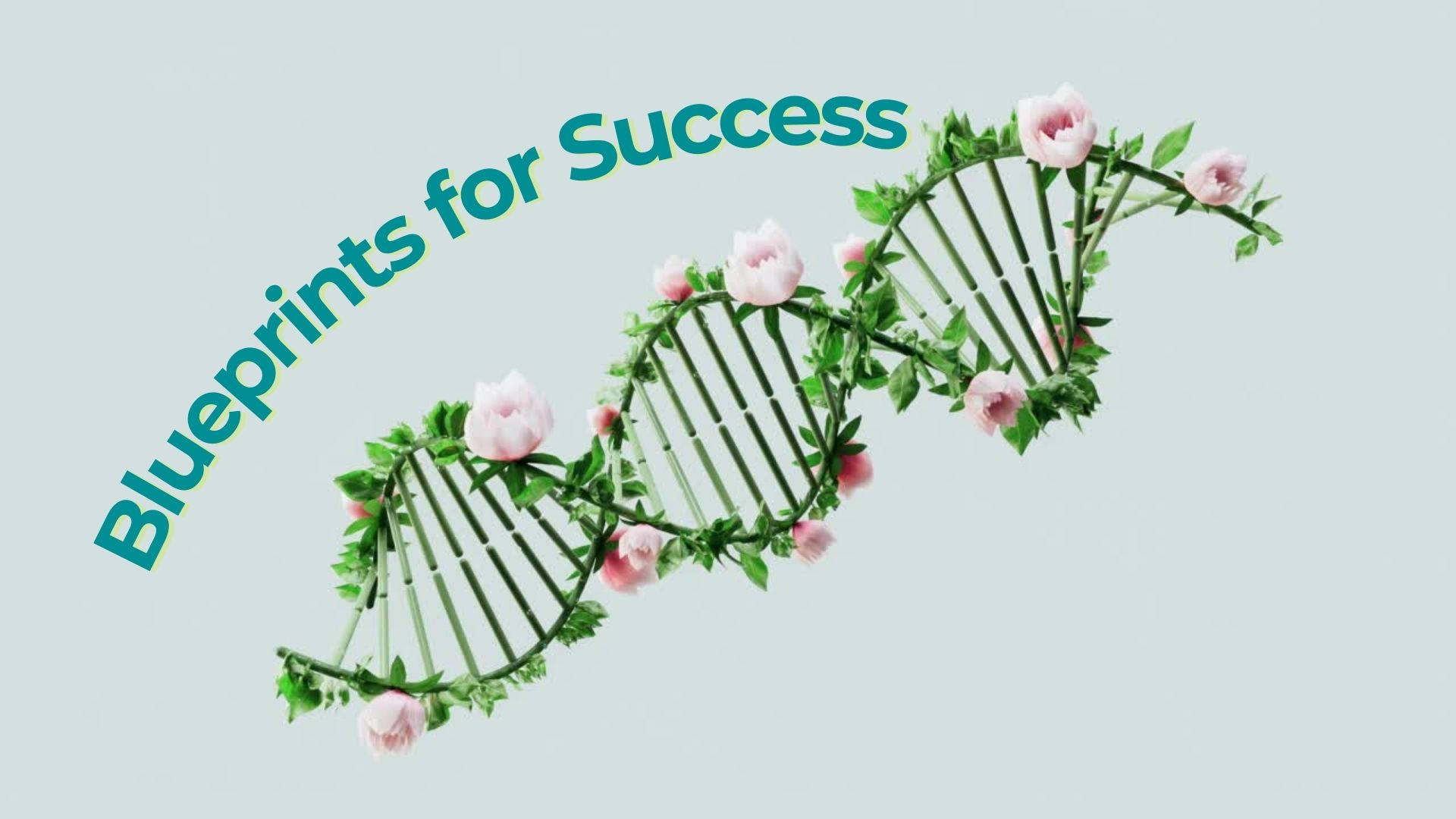 Blueprints for Success